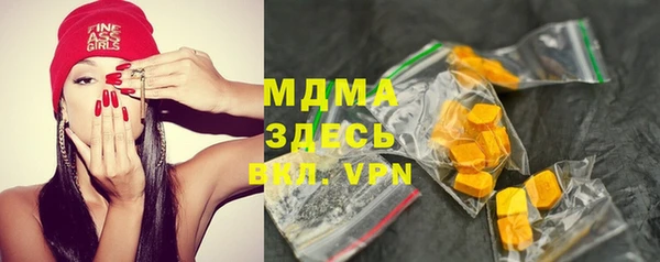гашик Алексин