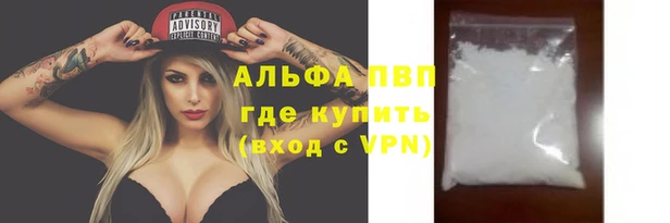 гашик Алексин