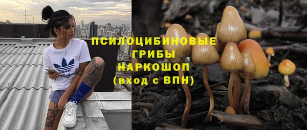 винт Алзамай