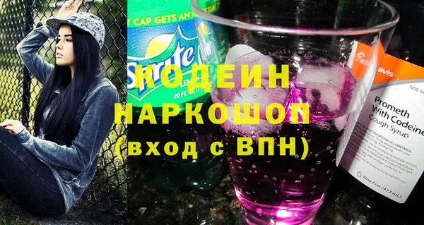 гашик Алексин