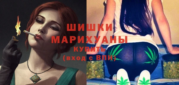 амф Арсеньев