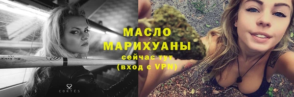 гашик Алексин
