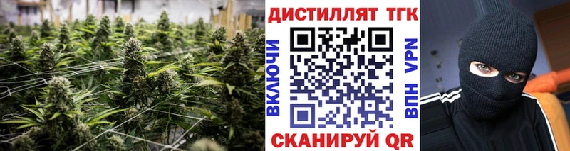 Купить где  Орск  Дистиллят ТГК THC oil 